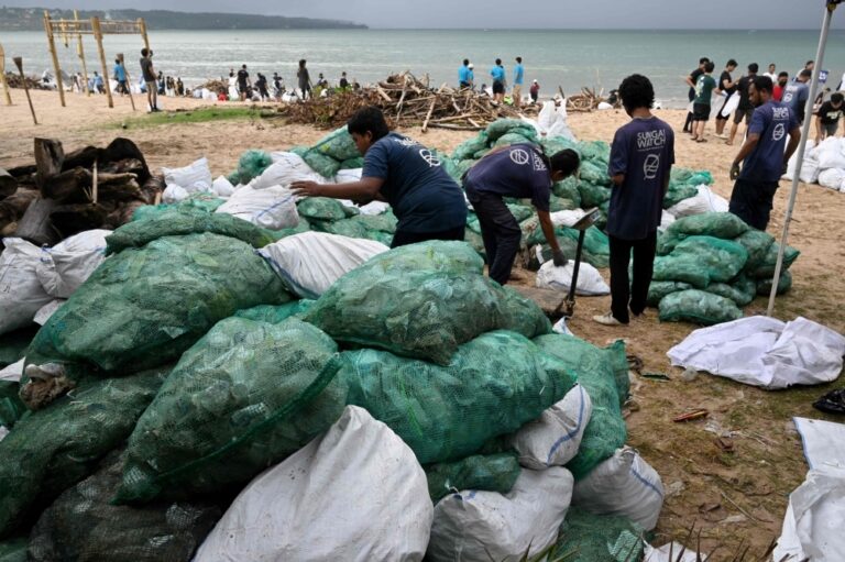 Bali BeachClean