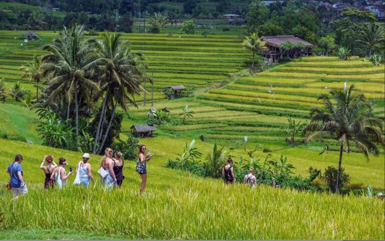 Bali Green Tourism