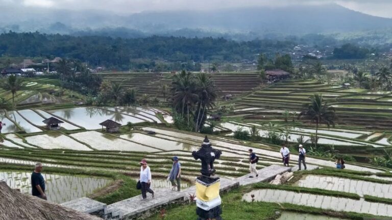 Jatiluwih